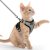 Kočky