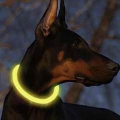LED Svítící obojek pro psy - nastavitelný