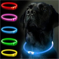 LED svítící obojek pro psy - modrý