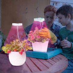 LED Lampa pro rostliny - 2 ks