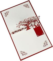 Vyskakovací přání k narozeninám/výročí