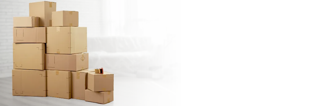 Vítejte na Bestly.cz